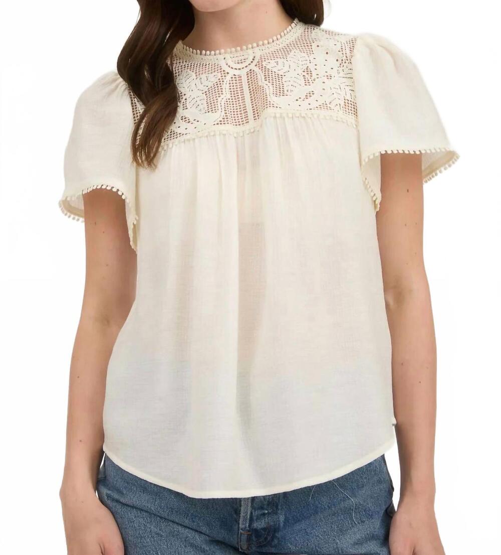 NEW BLU PEPPER the saffron lace top in cream
